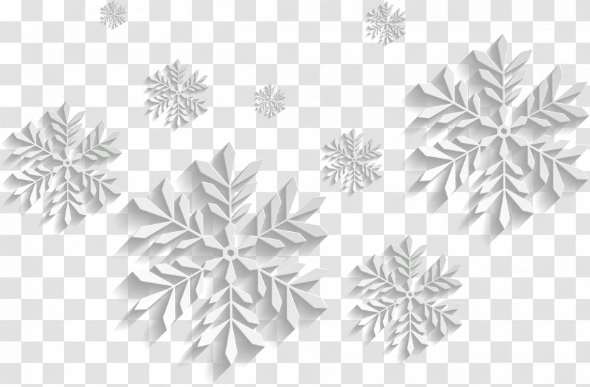 Snowflake Schema - Monochrome - Abstract Flower Pattern Transparent PNG