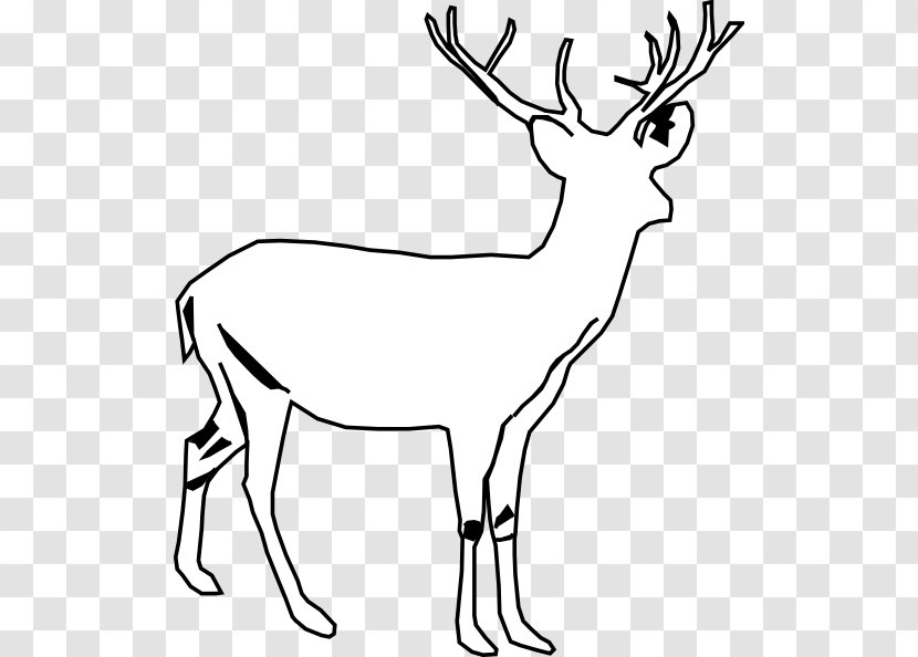 White-tailed Deer Moose Seneca White Clip Art - Vector Transparent PNG