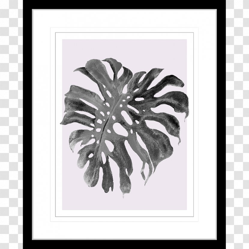 Picture Frames Borders And Photography Collage Clip Art - Frame - Monstera Watercolor Transparent PNG
