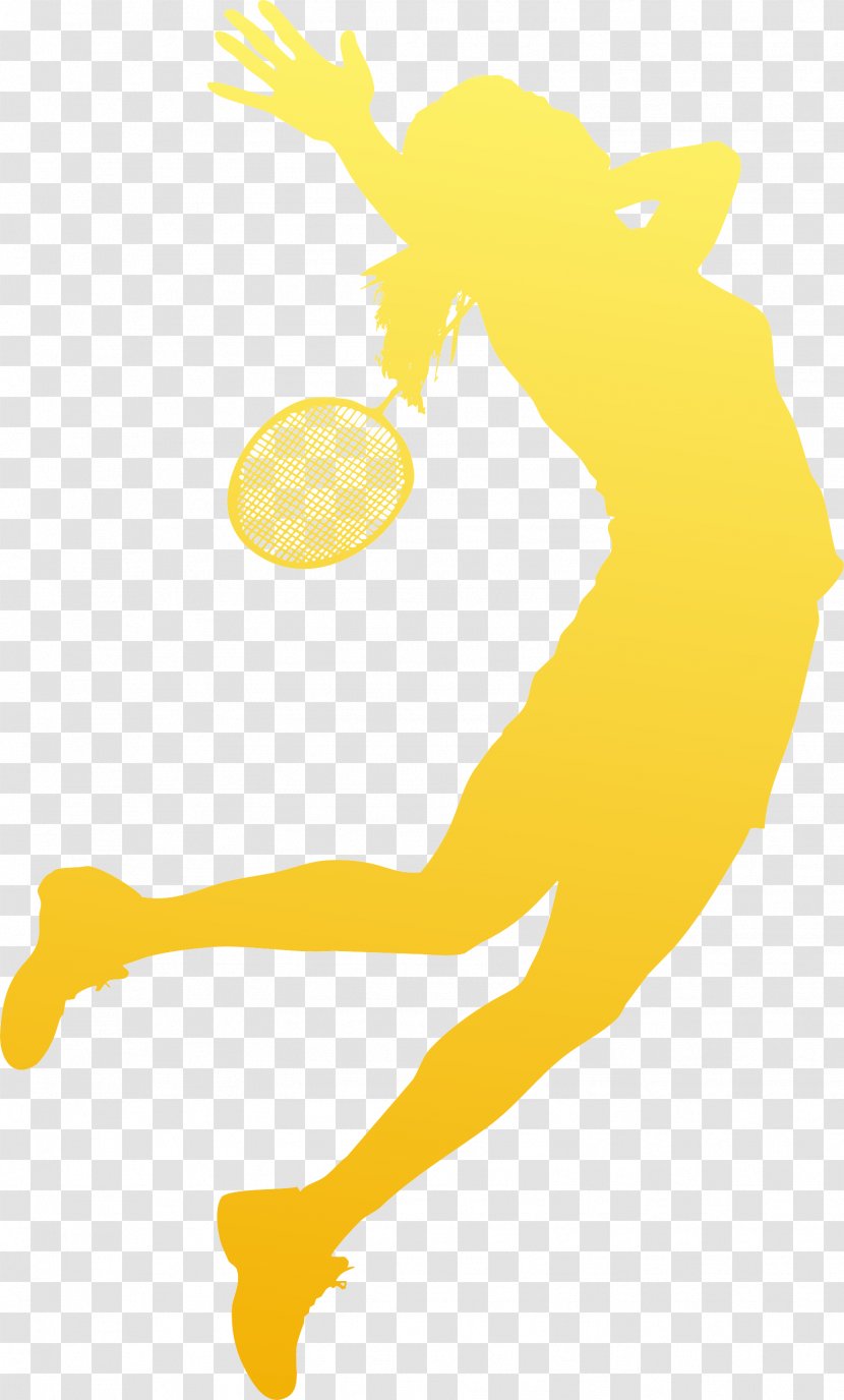 Badminton Sport Olympic Games Download - Vertebrate Transparent PNG