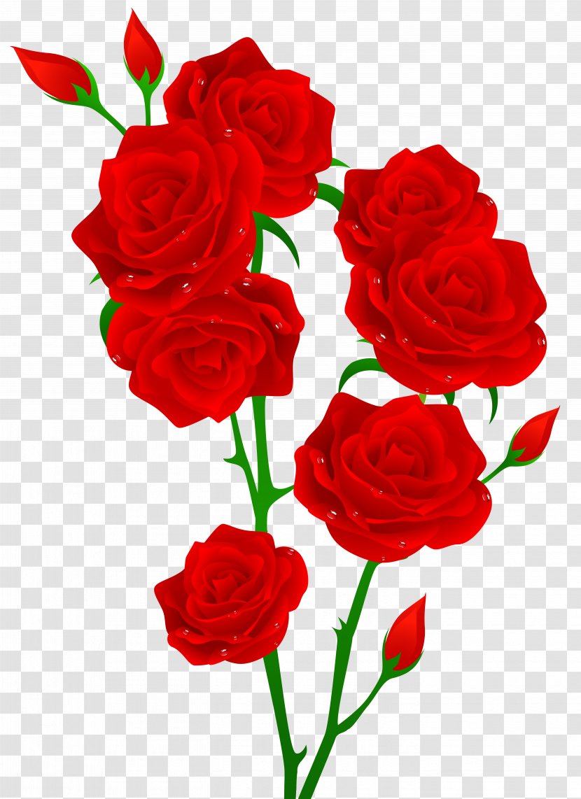 Red Rose Flower Clip Art - Petal - Roses Transparent Image Transparent PNG