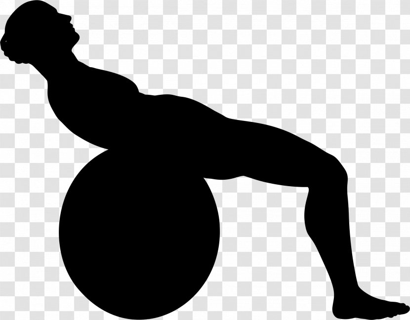 Physical Exercise Balls Fitness Centre Silhouette - Hand Transparent PNG