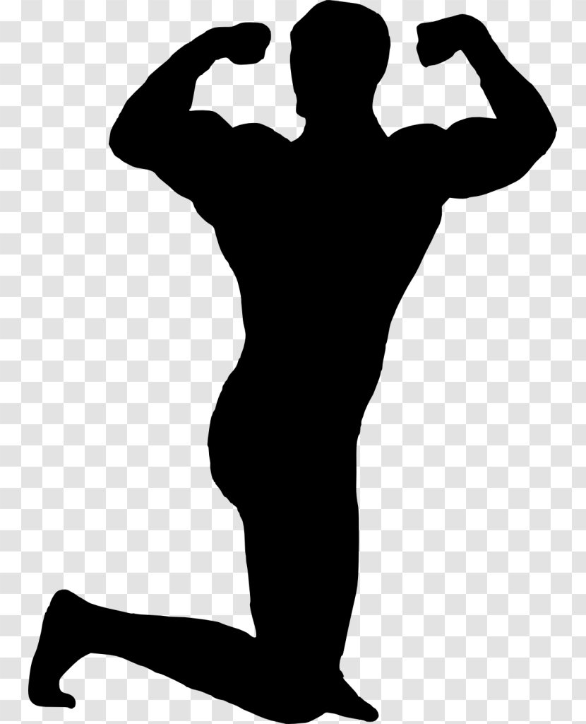 Silhouette Drawing Photography Clip Art - Shoulder - Muscle Transparent PNG