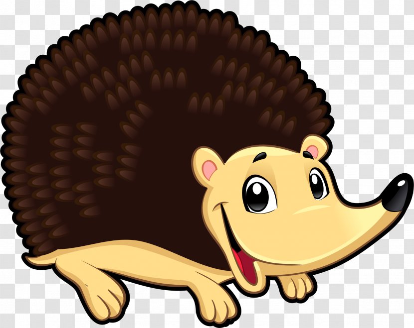 Hedgehog Armadillo Euclidean Vector - Vertebrate - Painted Transparent PNG