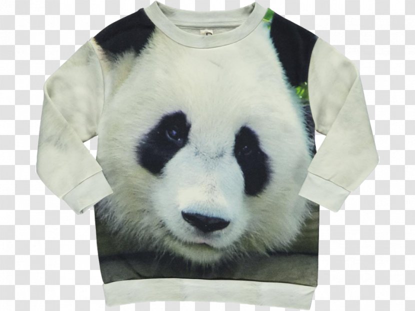Giant Panda T-shirt Bluza Sweater PandaBears - Animal - Sandie Lee BooksWatercolor Transparent PNG