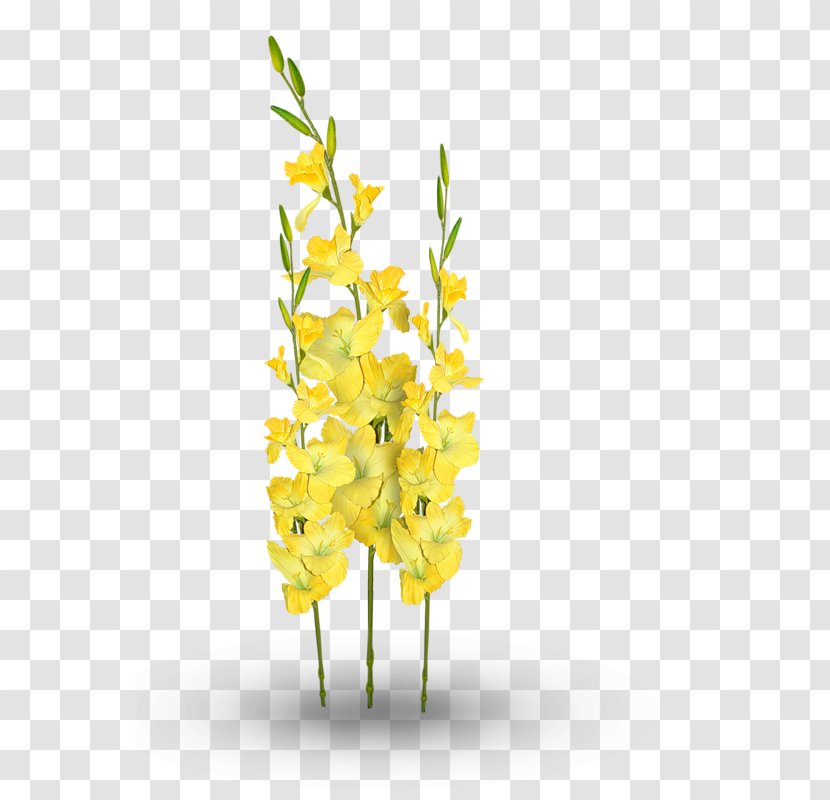Cut Flowers Floral Design Plant Stem - Flora - Flower Transparent PNG