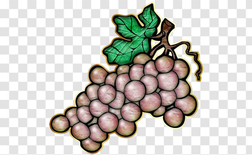 Grape Clip Art - Vitis - Ranks Transparent PNG