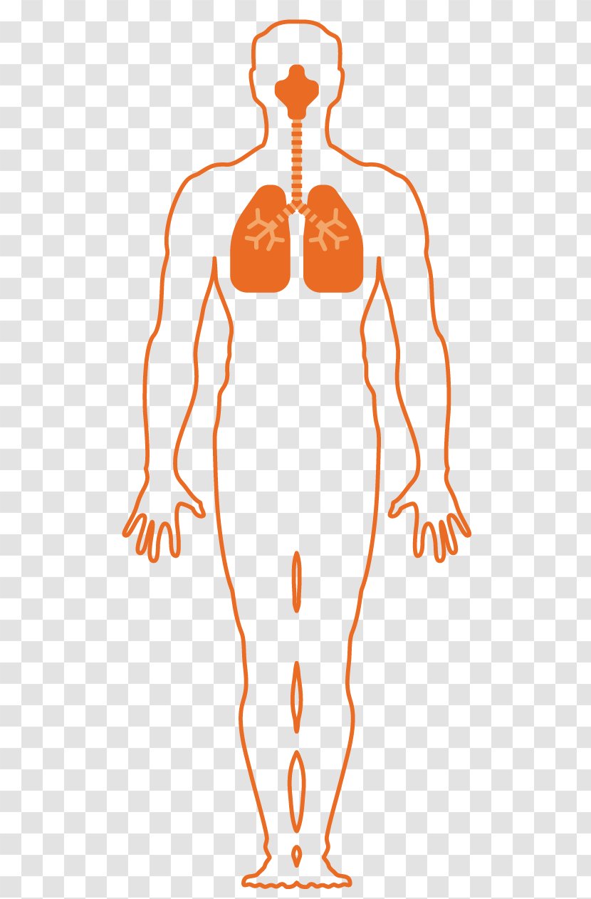 Respiratory System Respiration Breathing Asphyxia Organism - Cartoon - Chemical Weapon Transparent PNG