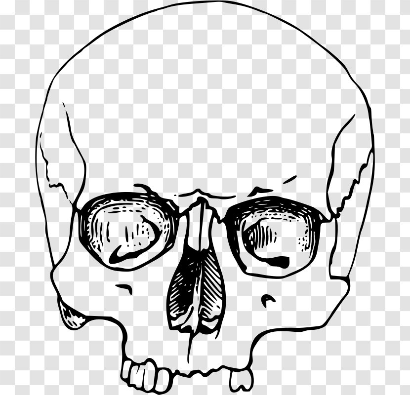 Skull Clip Art - Silhouette Transparent PNG