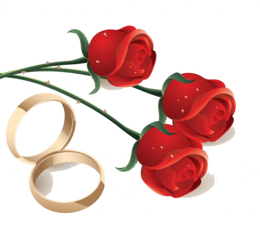 Garden Roses Engagement Ring Flower - Rose Order Transparent PNG