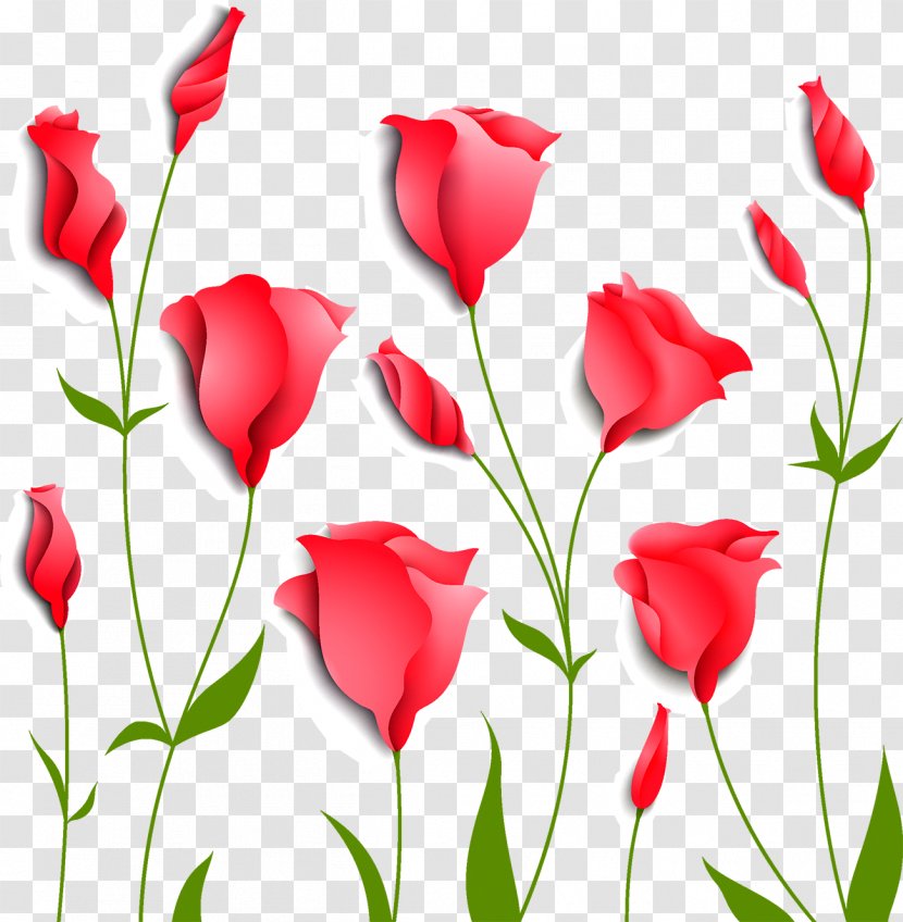 Flower Euclidean Vector Stock Photography - Floral Design - Tulip Transparent PNG