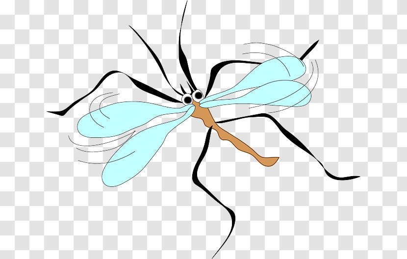 Mosquito Clip Art - Leaf Transparent PNG