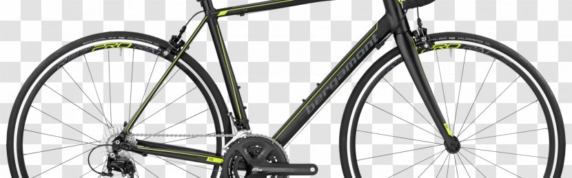 Trek Bicycle Corporation Road Cycling Fuji Bikes Transparent PNG