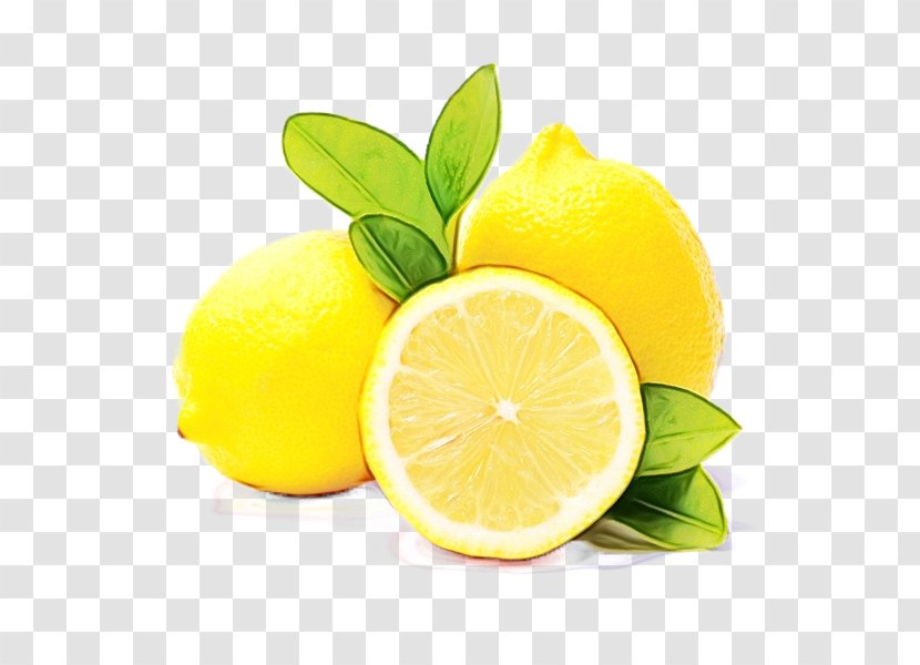 Lemon Citrus Persian Lime Lemon-lime - Fruit - Citron Citric Acid Transparent PNG