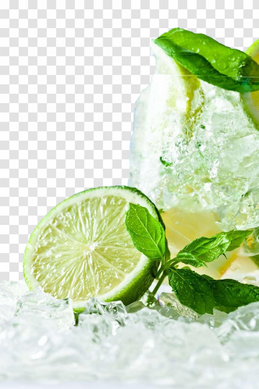 Mojito Cocktail Caipirinha Juice Peppermint - Lemon - Great Food Advertising Poster Transparent PNG