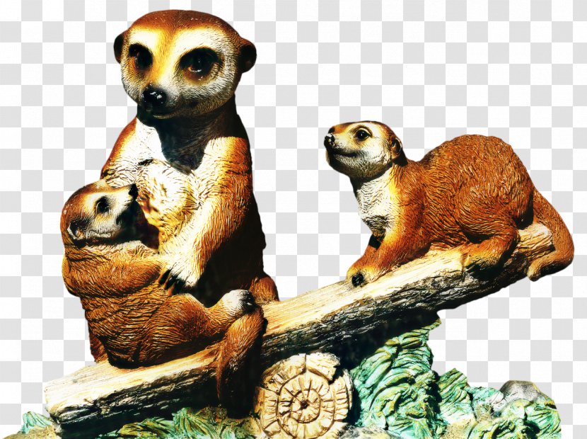 Meerkat Fauna Terrestrial Animal Transparent PNG