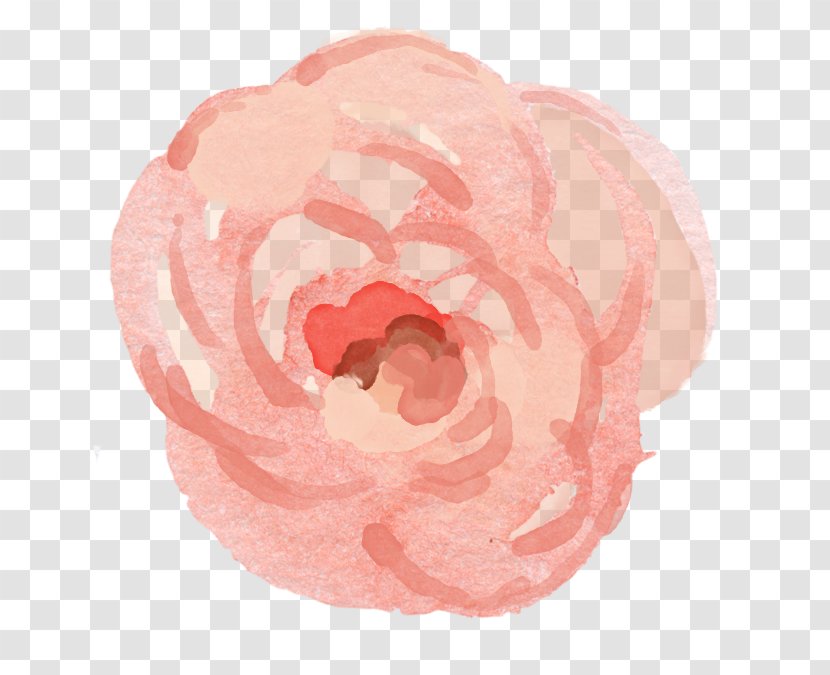 Garden Roses Petal Pink M - Rose Transparent PNG