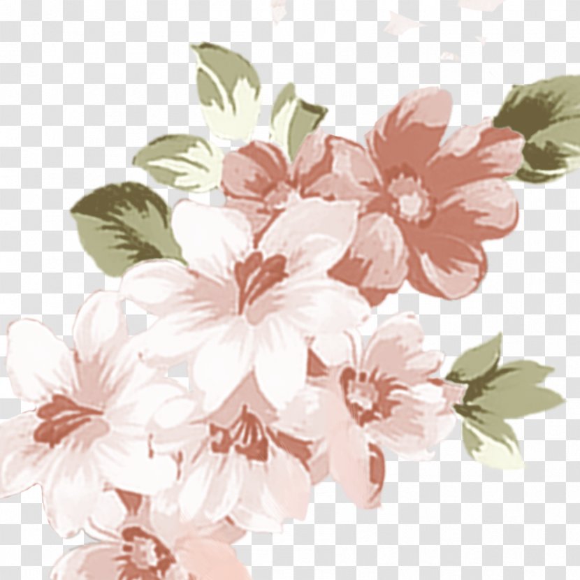 Floral Design Rosaceae Cherry Blossom Pattern - Rose Transparent PNG