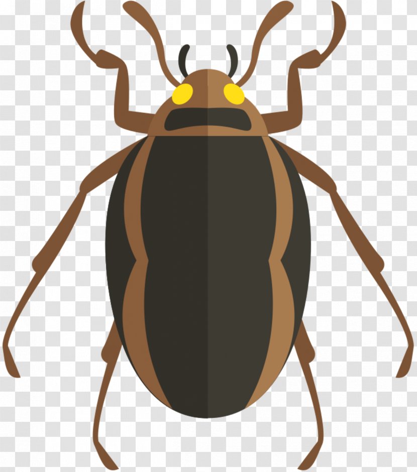 Vector Graphics Beetle Image Cockroach - Ground - Invertebrate Transparent PNG