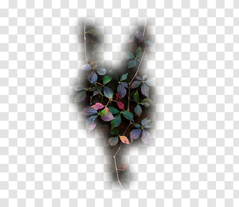 Petal Floral Design Cut Flowers Artificial Flower Transparent PNG