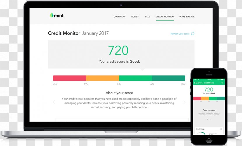 Mint.com Credit Report Monitoring Business Accounting - Mintcom Transparent PNG