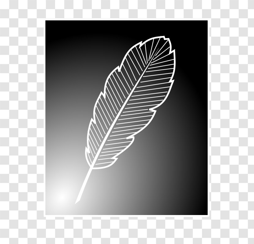 Bird Feather Line Art Clip - Silhouette - Feathers Vector Transparent PNG
