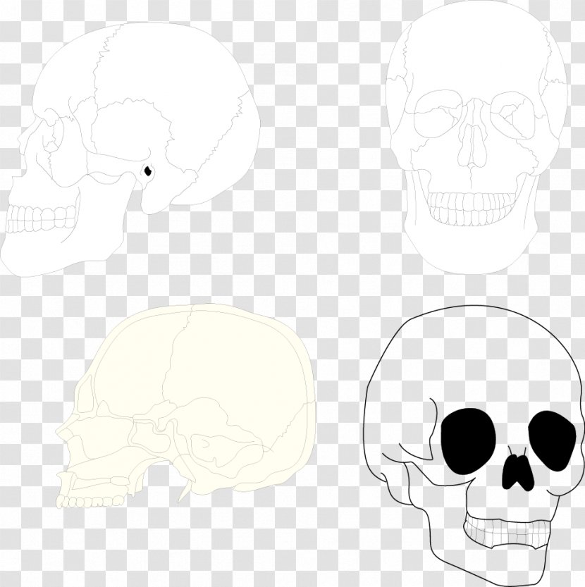 Nose Black And White Pattern - Head - Human Skull Transparent PNG