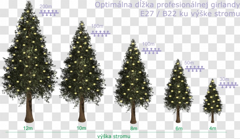 Christmas Tree Spruce Fir Ornament Pine Transparent PNG