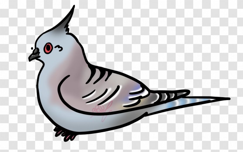 DeviantArt Drawing Digital Art Painting - Columbidae Transparent PNG