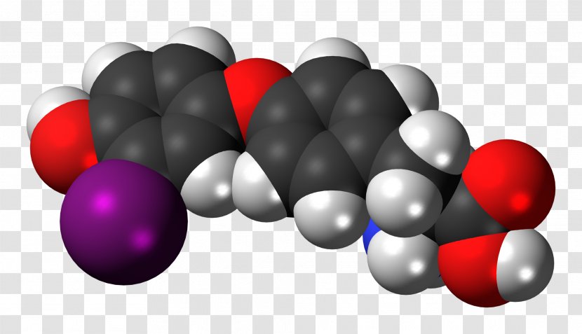 Tyrosine Space-filling Model Levodopa Zwitterion Adrenaline - Neurotransmitter - Thyronine Transparent PNG