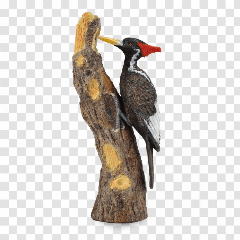 Ivory-billed Woodpecker Bird AAD TOTAL ADMINISTRATION SRL Horse - Toy Transparent PNG