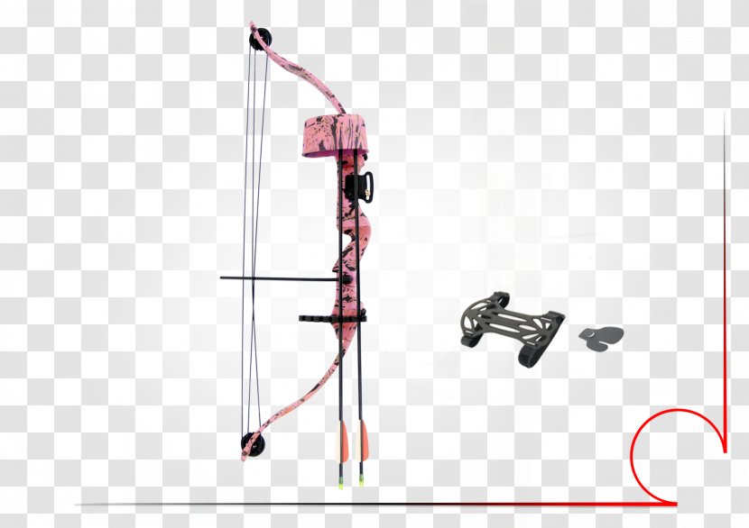 Compound Bows Bow And Arrow Recurve Sport - Ski Poles Transparent PNG