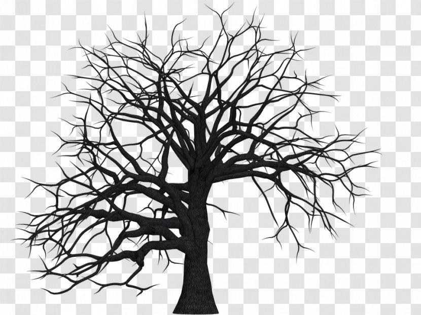 Tree Silhouette Drawing Clip Art - Branch Transparent PNG