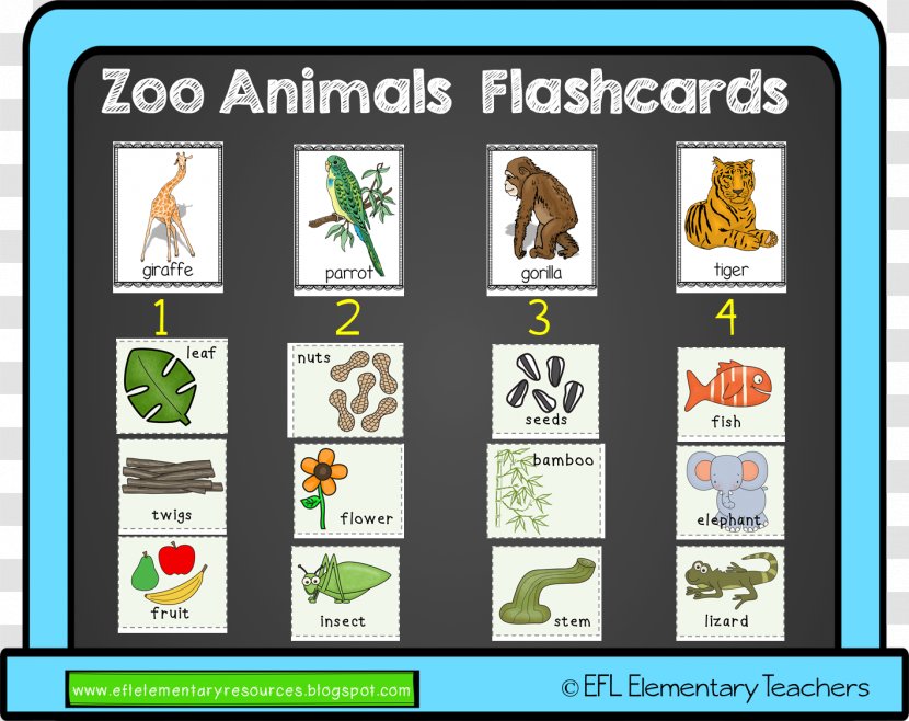 Zoo TeachersPayTeachers Animal Flashcard - January - Part Transparent PNG