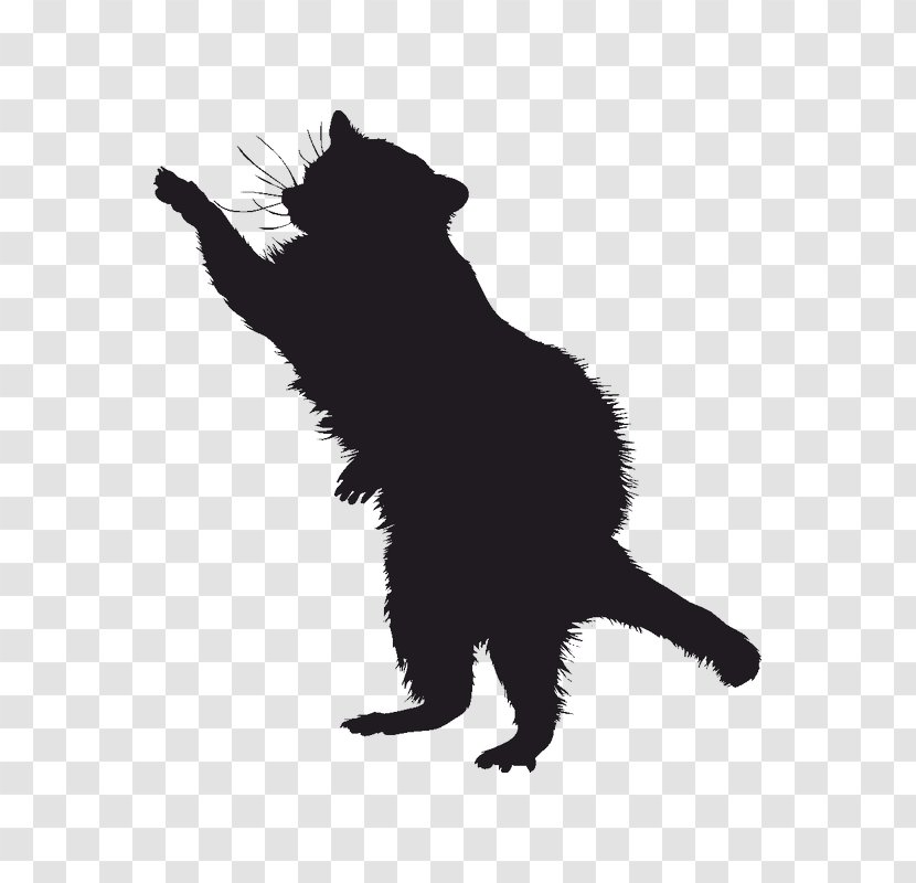 Raccoon Coyote Silhouette Drawing Clip Art - Black Cat Transparent PNG