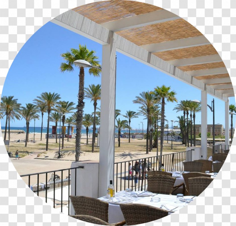 Alboraya Patacona Valencia Horta Nord Restaurant - Arecales - Playa Bonita Mexican Transparent PNG