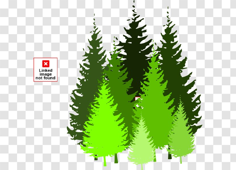 Forest Free Content Tree Royalty-free Clip Art - Spruce - Cross Cliparts Transparent PNG