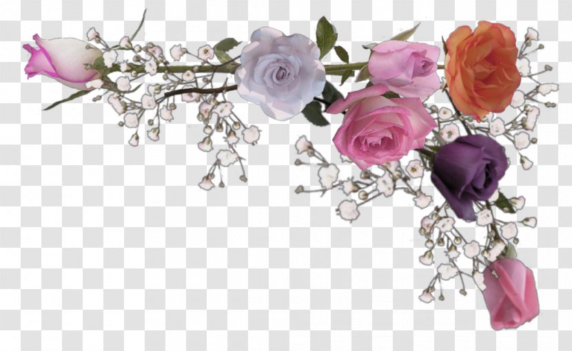 Rose Gratis Clip Art - Flower - Anna Sui Transparent PNG