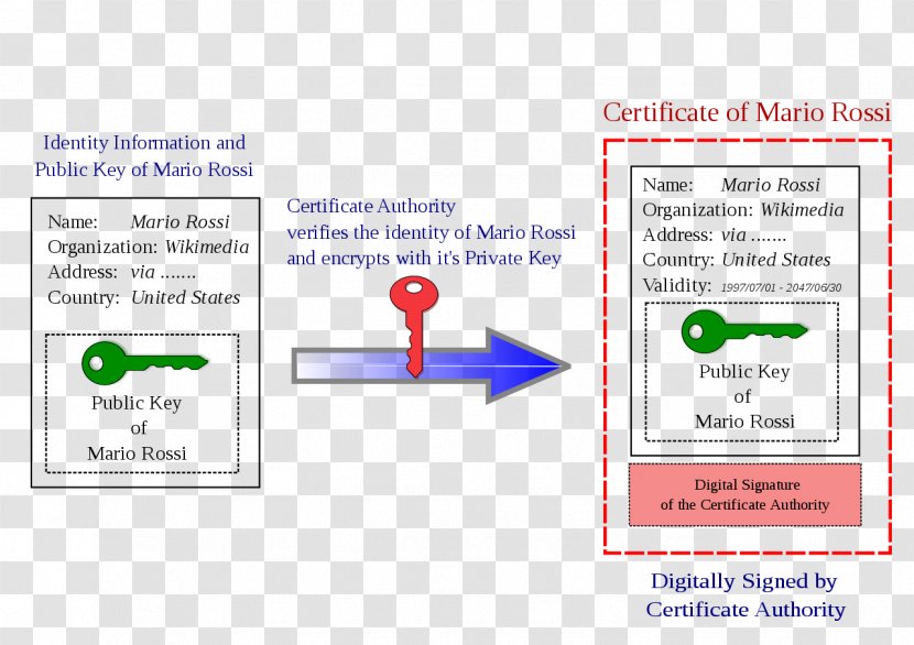 Public Key Certificate Public-key Cryptography Chiave Pubblica Dijital Sertifika Authority - Digital Signature Transparent PNG