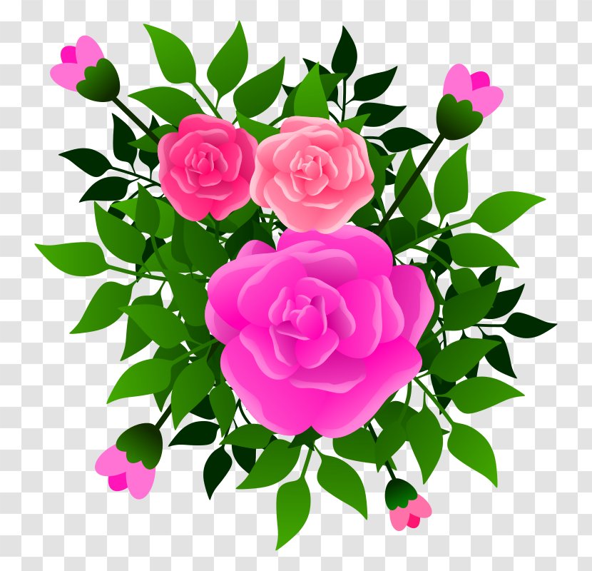 Garden Roses Clip Art Openclipart Illustration Free Content - Japanese Camellia - Stump Border Transparent PNG