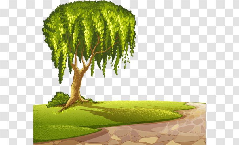 Royalty-free Drawing - Grass - Child Transparent PNG