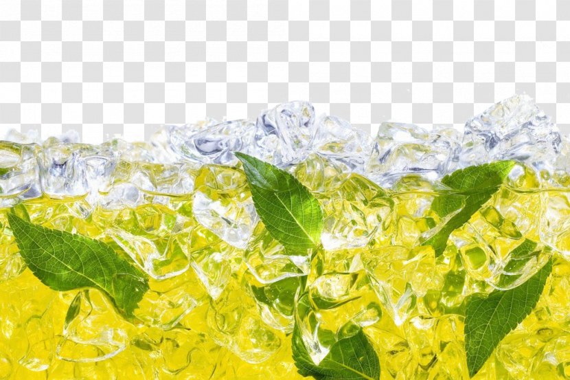 Green Tea Tieguanyin Iced Drink - Lemon Transparent PNG