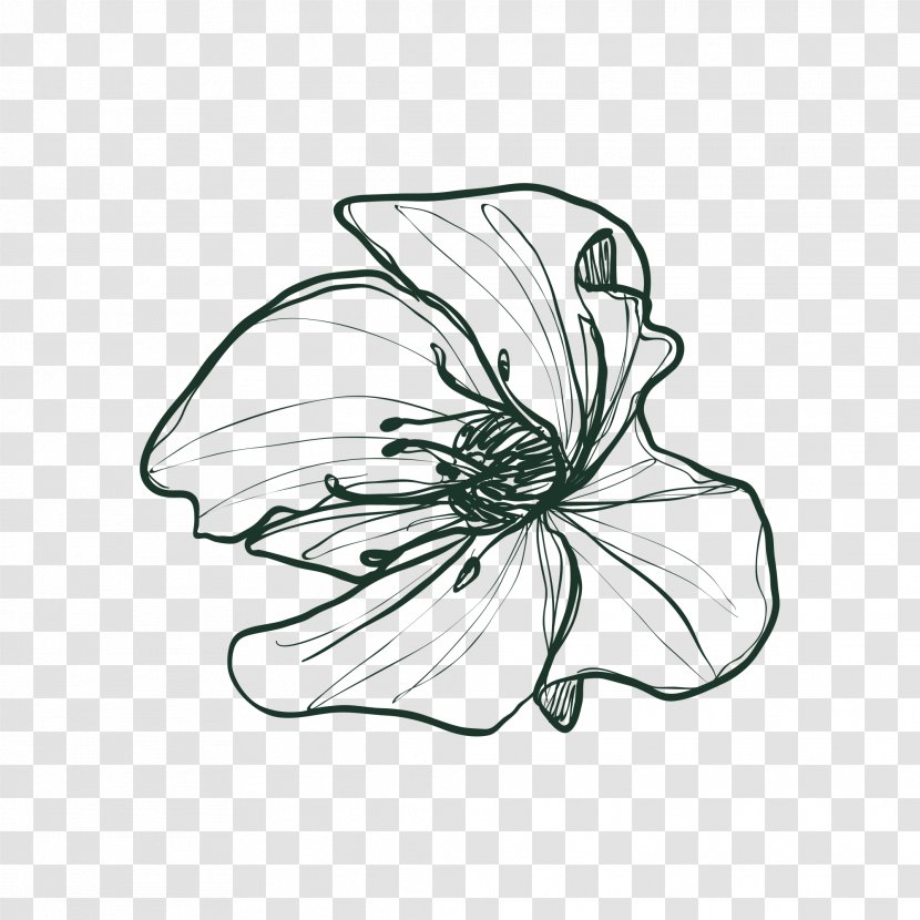 Drawing Image Flower Vector Graphics - Cut Flowers - Floral Transparent PNG