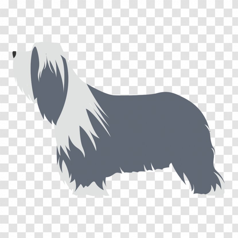 Dog Breed Australian Kelpie Shepherd Bearded Collie Border Transparent PNG