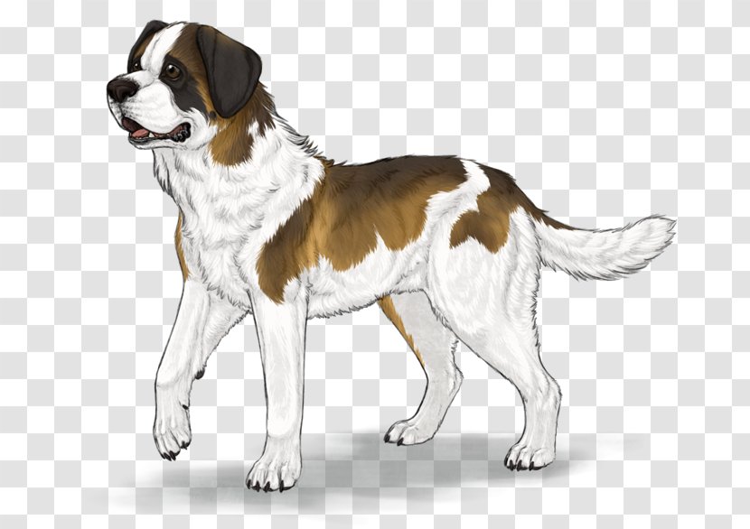 Drentse Patrijshond St. Bernard English Foxhound Dog Breed Companion - Spaniel Transparent PNG