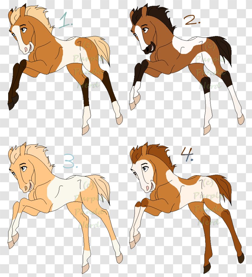 Foal Mustang Colt Pony Stallion - Horse Supplies Transparent PNG