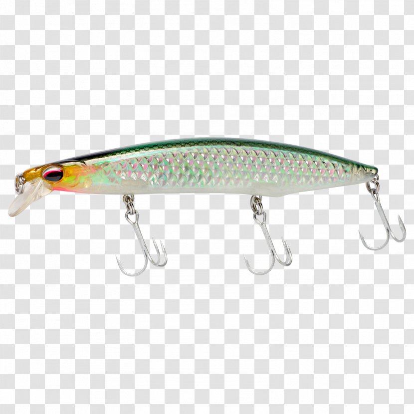 Spoon Lure Perch Fish AC Power Plugs And Sockets Transparent PNG