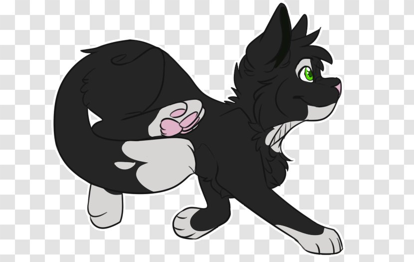 Whiskers Kitten Black Cat Dog Horse - Canidae Transparent PNG