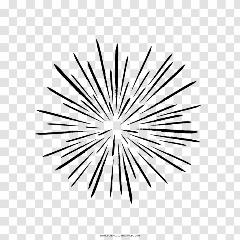 Black And White Drawing Fireworks Transparent PNG
