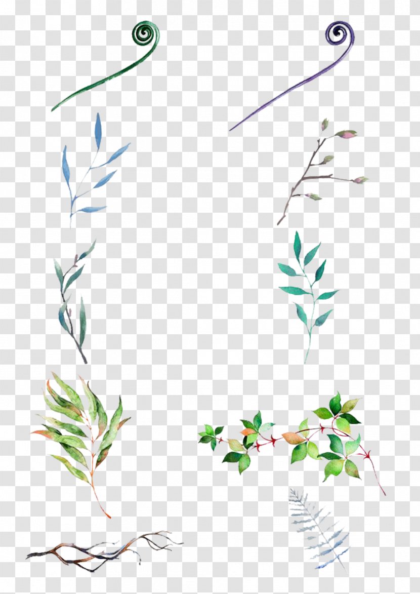 Paper Graphic Design - Ink - Vines Are Available For Free Download Transparent PNG